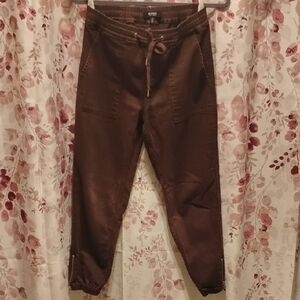 Hudson Brown Jogger Pants